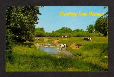 MO Greeetings from MISSOURI Postcard PC Cows Grazing