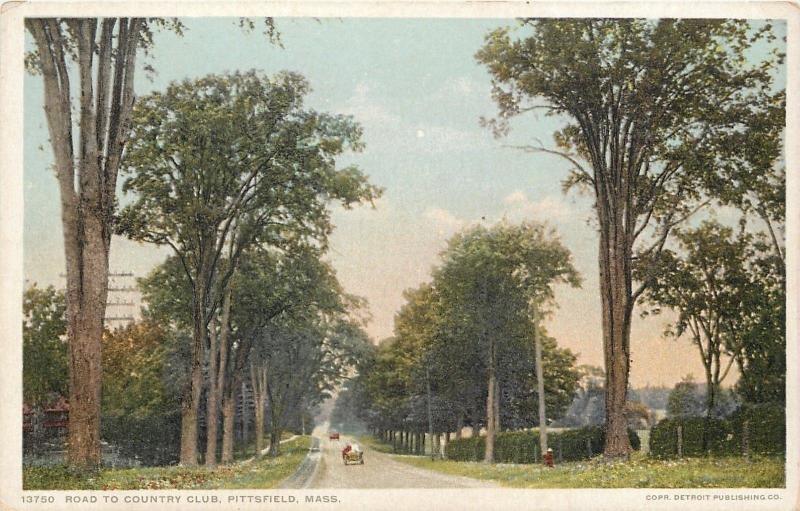 Pittsfield MA Road to Country Club~~Utility Poles Interior to Path~Detroit Publ