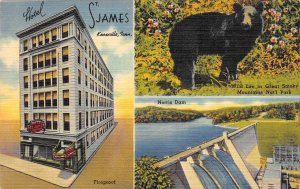Knoxville, TN Tennessee  HOTEL ST JAMES~Paul N McQuiddy  BEAR  Roadside Postcard 