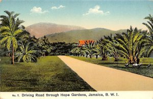 Driving Road through Hope Gardens Jamaica Unused 