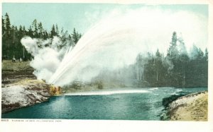 Vintage Postcard 1920's Riverside Geyser Yellowstone National Park Wyoming WY