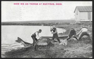 Four Men Pulling Huge Fish From Water Bucyrus Ohio Used c1911