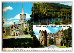 Postcard Ireland Tollymore Forest  Co. Down Continental View Card