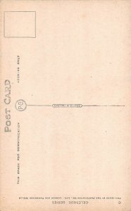 L315 Syria Damascus vintage postcard