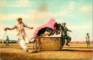 Vtg Postcard 1910s Lahore Pakistan National Horse & Cattle Show Jumping Bull UNP