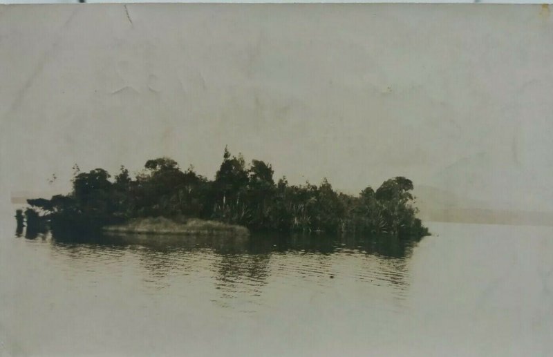 Vintage Photo Small Island in the Middle of Lake Brunner Moana New Zealand 1932