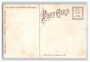 C. 1900-07 Excursionists Arriving Sandusky OH. Postcard F135E