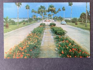 Clearwater Beach FL Chrome Postcard H1217081749