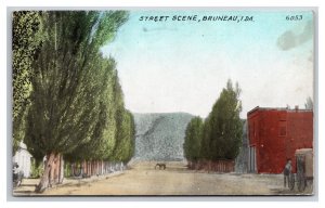 Dirt Street View Bruneau Idaho ID Wesley Andrews DB Postcard H28