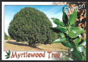 Oregon - Myrtle Tree - [OR-038X]