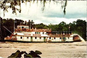 New Orleans, LA Louisiana  STERNWHEELER COTTON BLOSSOM  Bayou Tour  4X6 Postcard