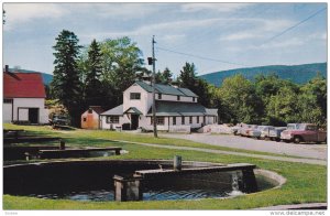 Fish Hatchery, Margaree Valley, CAPE BRETON, Nova Scotia, Canada, 1940-1960s