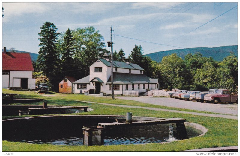 Fish Hatchery, Margaree Valley, CAPE BRETON, Nova Scotia, Canada, 1940