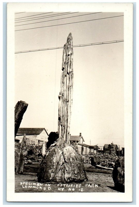 c1940's Specimen In Petrified Park Lemmon South Dakota SD RPPC Photo Postcard