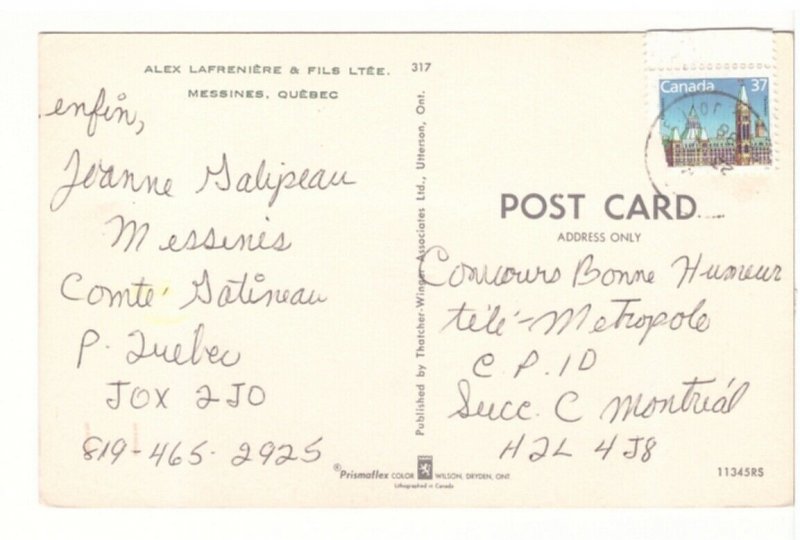 Hunter, Autumn, Messines, Quebec, Vintage 1988 Chrome Postcard