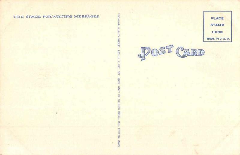 Salem Willows Massachusetts Harbor Scene Linen Antique Postcard K62421