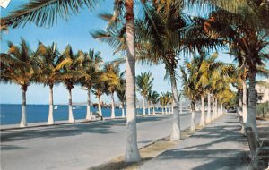 Malecon de la Paz Mexico Tarjeta Postal Postal Used Unknown 