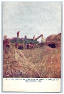 c1910's Harvesting In The Great Wheat Fields Of Manitoba Canada Antique Postcard