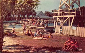 Silver Springs Florida Beach Scene Vintage Postcard AA35087