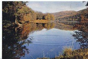 Scotland Postcard - Loch Oich In The Great Glen - Inverness-shire  AB111