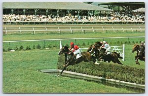 Racing Centennial Steeple Chasing Popular Feature Saratoga New York NY Postcard