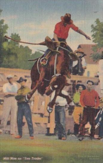 Rodeo Milt Moe On Tea Trader Horses Curteich