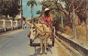 Donkey Cart Vendor Barbados West Indies Unused 