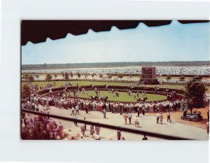 Postcard Paddock Walking Ring, Atlantic City Race Course, Hamilton, New Jersey