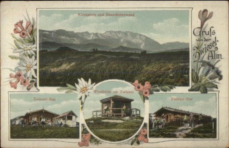 Gruss von der Zwiesel-Alm Austria Multi-View c1910 Postcard