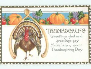 Divided-Back THANKSGIVING SCENE Great Postcard AA0485