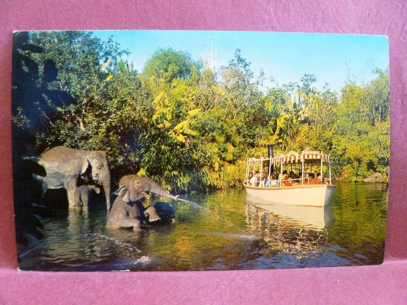 Postcard CA Anaheim Disneyland Elephat Bathing Pool Jungle Cruise Ride