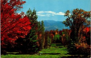 Beautiful Mt. Lafayette from Sugar Hill White Mountains NH Postcard PC191