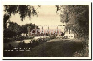 Israe - Netanya - Netanya - The Victory Garden - Hebrew Script - Old Postcard