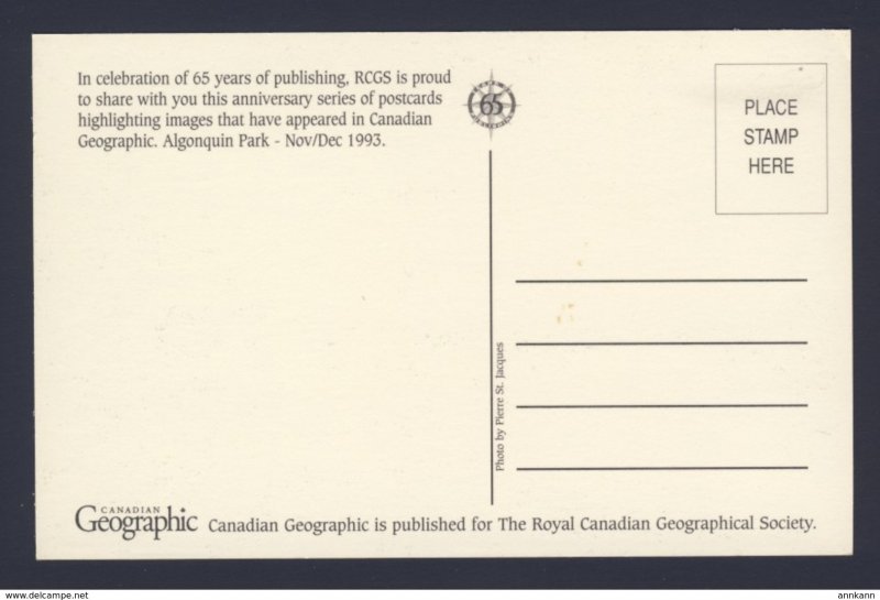 Algonquin Park Ontario Canada - Canadian Georgraphic postcard