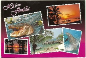 Hi From Florida, 1999 Chrome Multiview Postcard, 5 Views