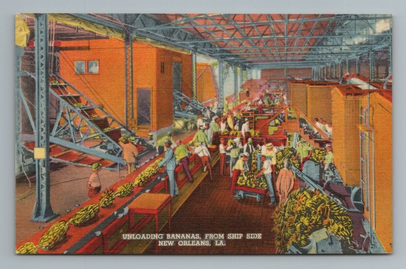 Unloading Bananas From Ship Side Packing New Orleans LA Louisiana Postcard 