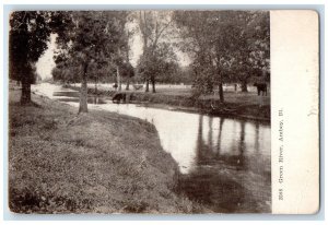 c1910 Green River Scenic View Cow Amboy Illinois IL Antique Vintage Postcard