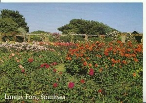 Hampshire Postcard - Rose Garden - Lumps Fort - Southsea - Ref 14546A