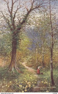 DEVON, Daffodils, Bickleigh Vale, 1900-10s; TUCK 7858