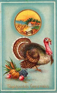 Thanksgiving Greeting With Turkey 1910