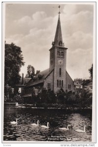 RP, Swans, Fransche Kerk A. D. Baan, ROTTERDAM (South Holland), Netherlands, ...