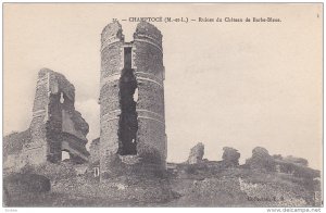 Champtocé-sur-Loire , France, 00-10s ; Ruines du Chateau de Barbe-Bleue