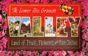Lower Rio Grande Valley Texas Large Letter Oranges c1950s Vintage Postcard