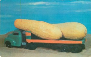 1950s Toy Truck Squash farm agriculture exaggeration Tichnor Postcard 22-4942