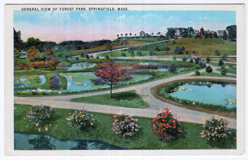 Springfield, Mass, General View Of Forest Park