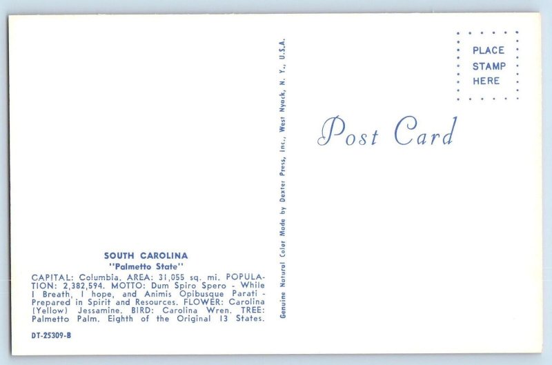 c1950's Greetings From South Carolina Palmetto State Map Correspondence Postcard