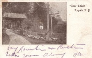 Vintage Postcard 1906 Pine Lodge Vacation Historical Landmark Angola New York NY