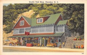 Cherokee North Carolina Qualla Park Shop Coca Cola Sign Vintage Postcard U4700