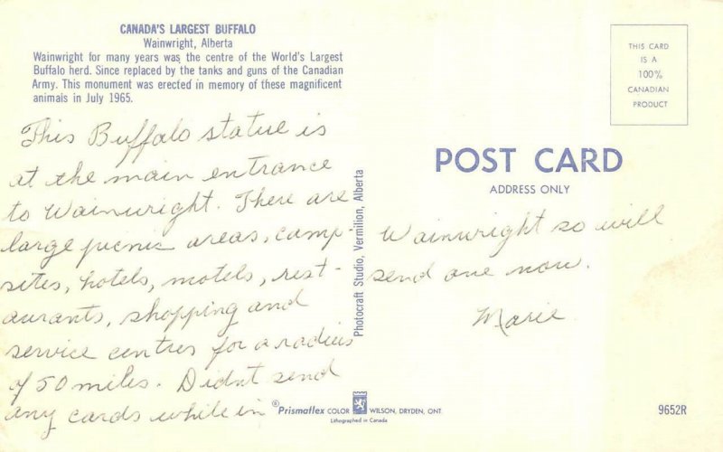 WAINWRIGHT, Alberta   CANADA'S LARGEST BUFFALO Statue  ROADSIDE  Chrome Postcard