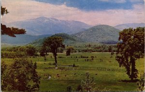 White Mountains New Hampshire Scenic Landscape Chrome Cancel WOB Postcard 